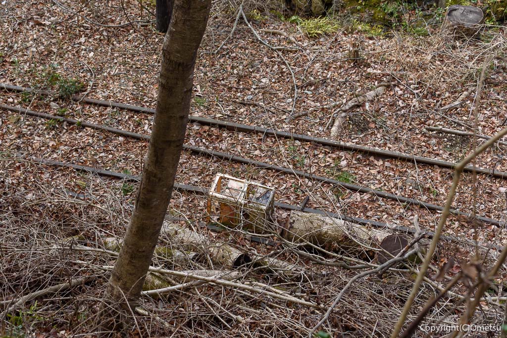 青梅市 雷電鉱山・二俣尾専用線の廃線跡のレール