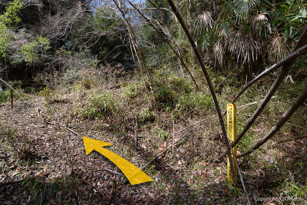 青梅市 雷電鉱山・二俣尾専用線の廃線跡の鉄塔巡視路