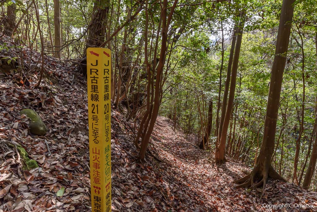 青梅市 雷電鉱山・二俣尾専用線の廃線跡の鉄塔巡視路