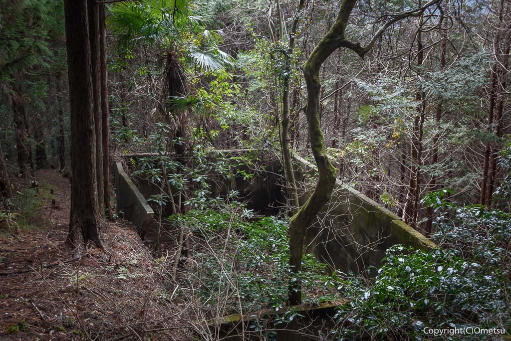 青梅市 雷電鉱山・二俣尾専用線の廃線跡の、水槽