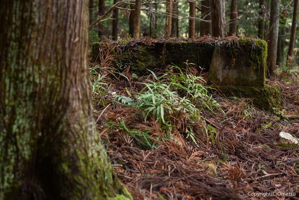青梅市 雷電鉱山・二俣尾専用線の廃線跡の、コンクリート
