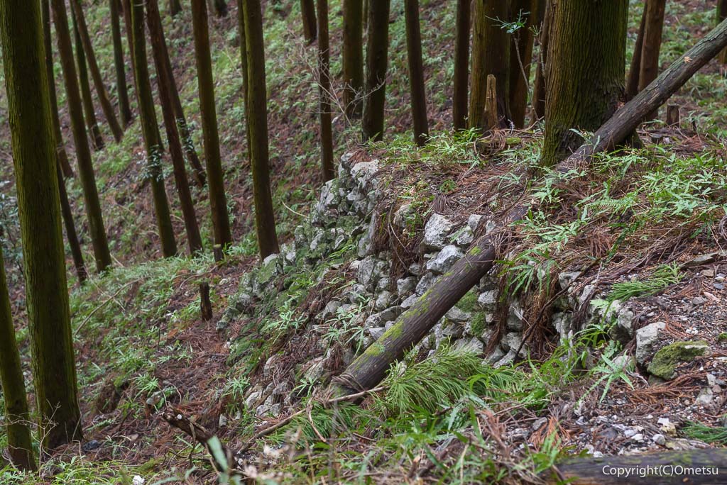 青梅市 雷電鉱山・二俣尾専用線の廃線跡の、石垣