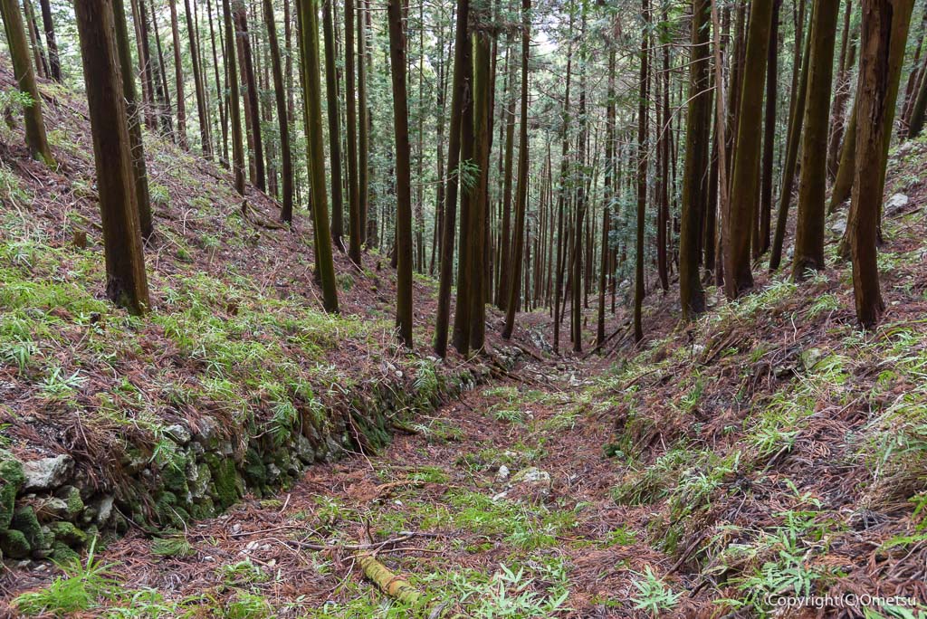青梅市 雷電鉱山のトンネル近くの、インクライン跡