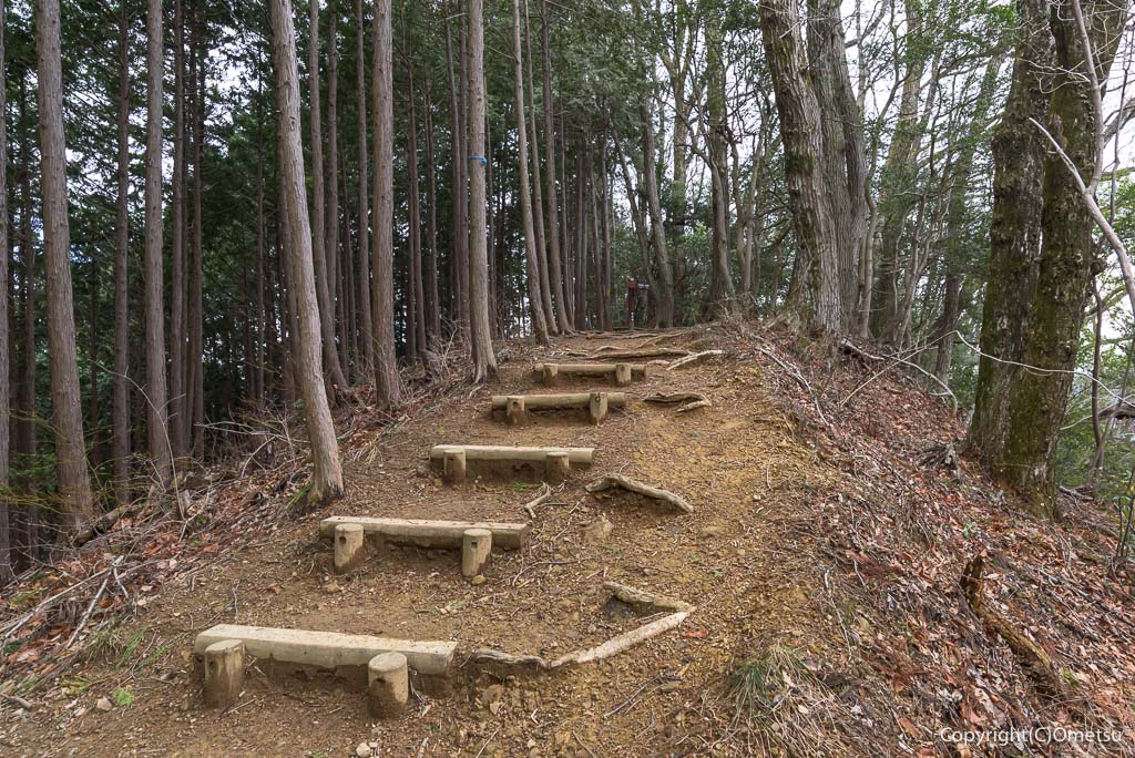 青梅丘陵ハイキングコース