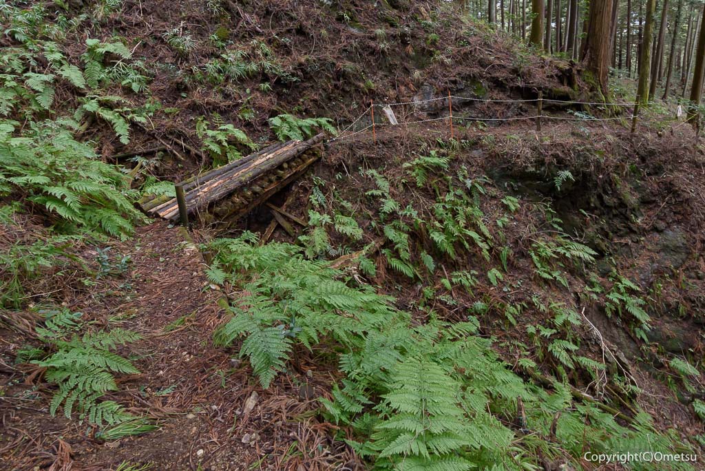 青梅丘陵ハイキングコース・名郷峠〜二俣尾駅の登山道