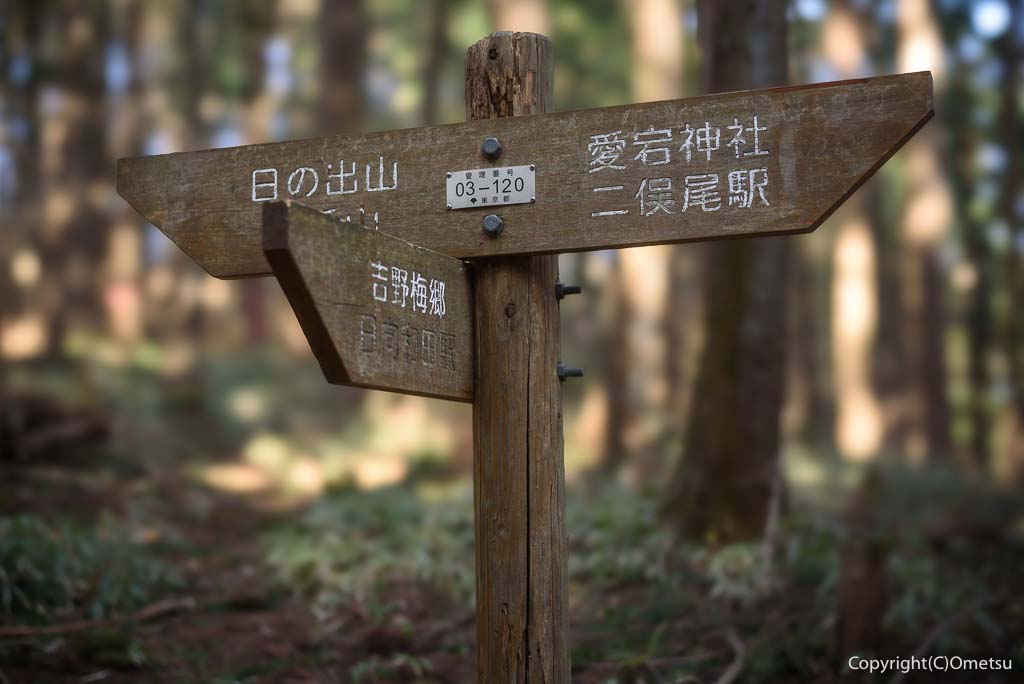 青梅市、愛宕尾根・分岐
