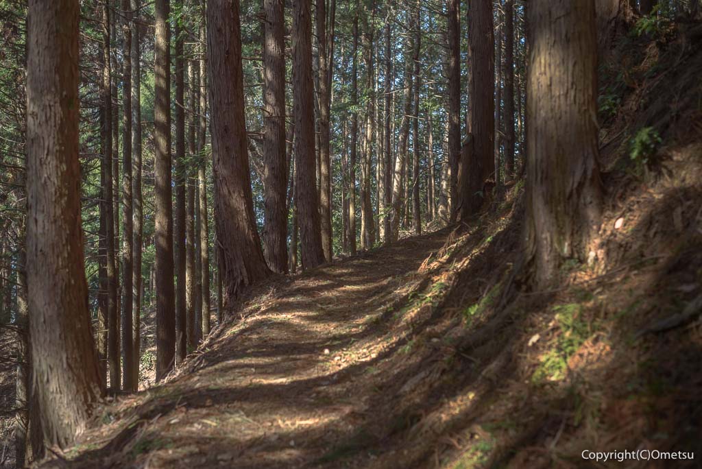 日の出山登山道