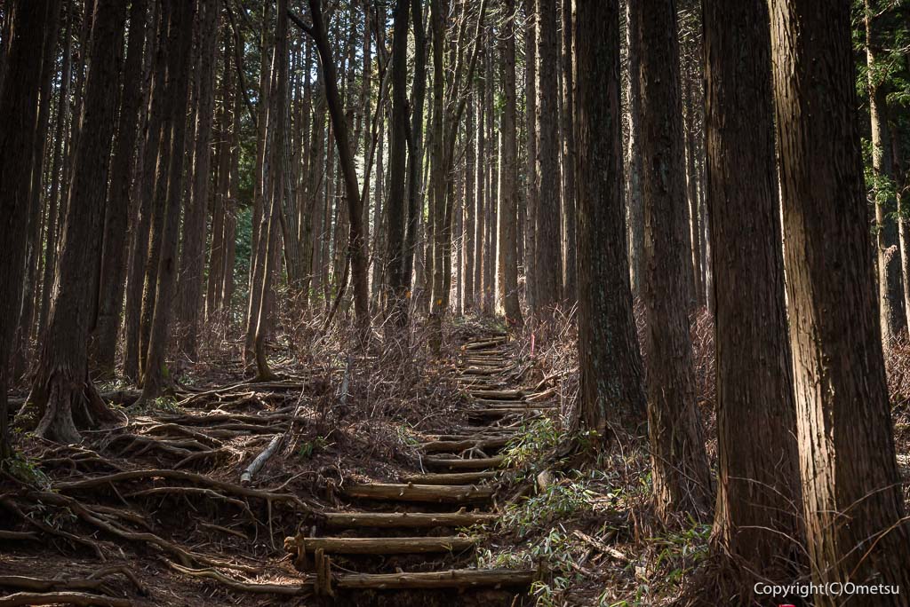 日の出山・登山道の、急登