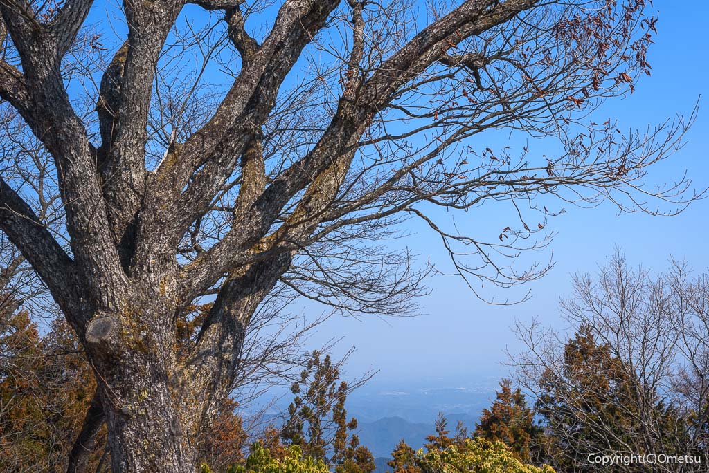 日の出山・山頂からの展望