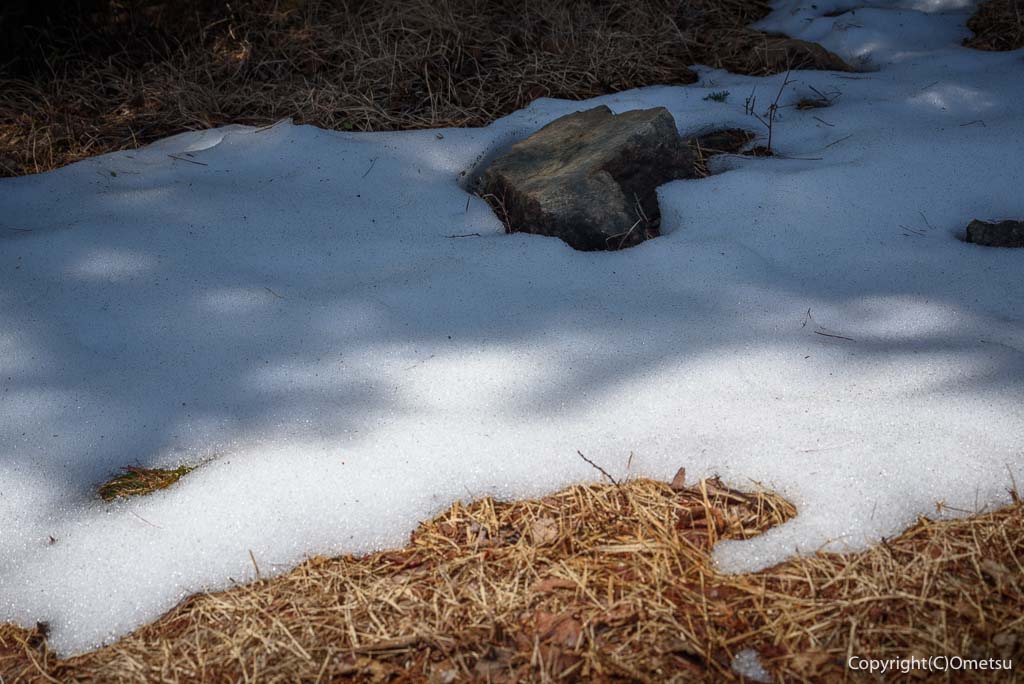 日の出山・山頂の、残雪