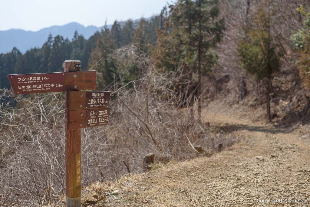 日の出山、金比羅尾根・白岩の滝分岐