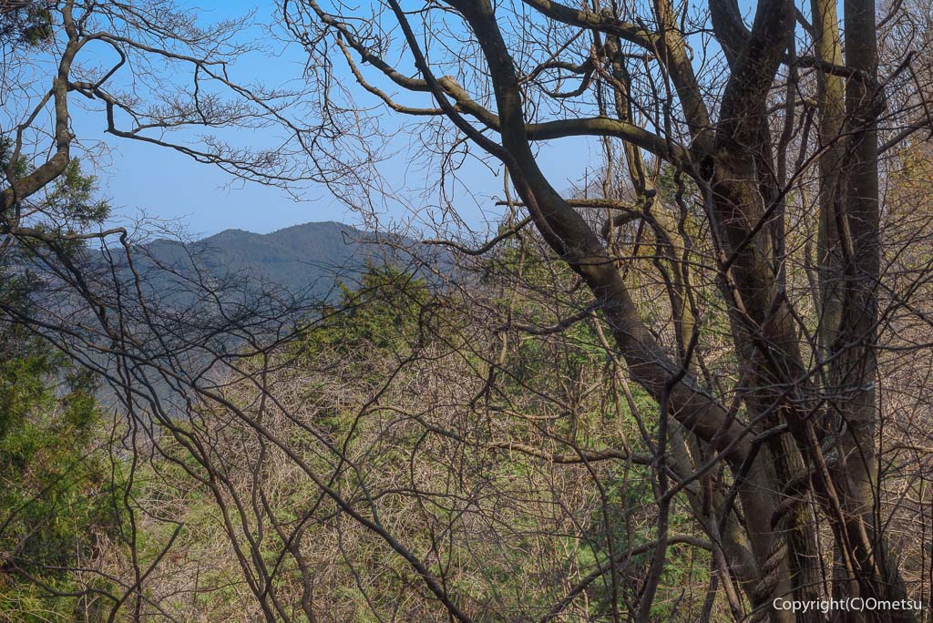日の出山・金比羅尾根の展望