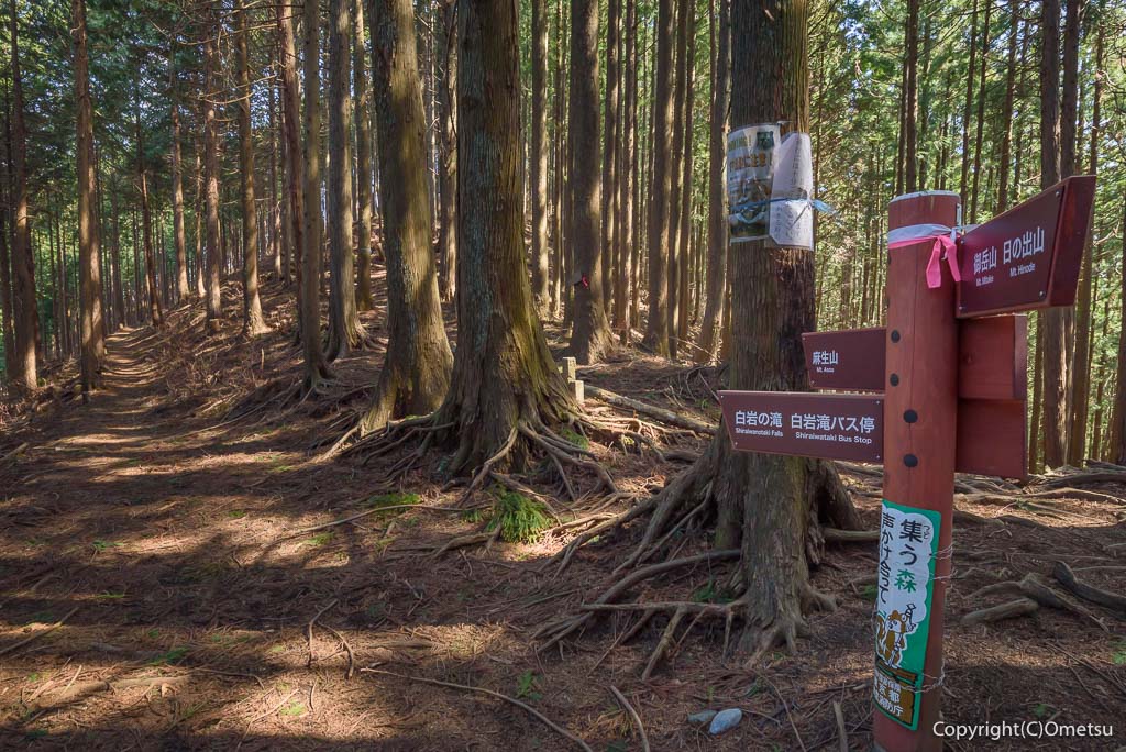 日の出山・麻生山分岐