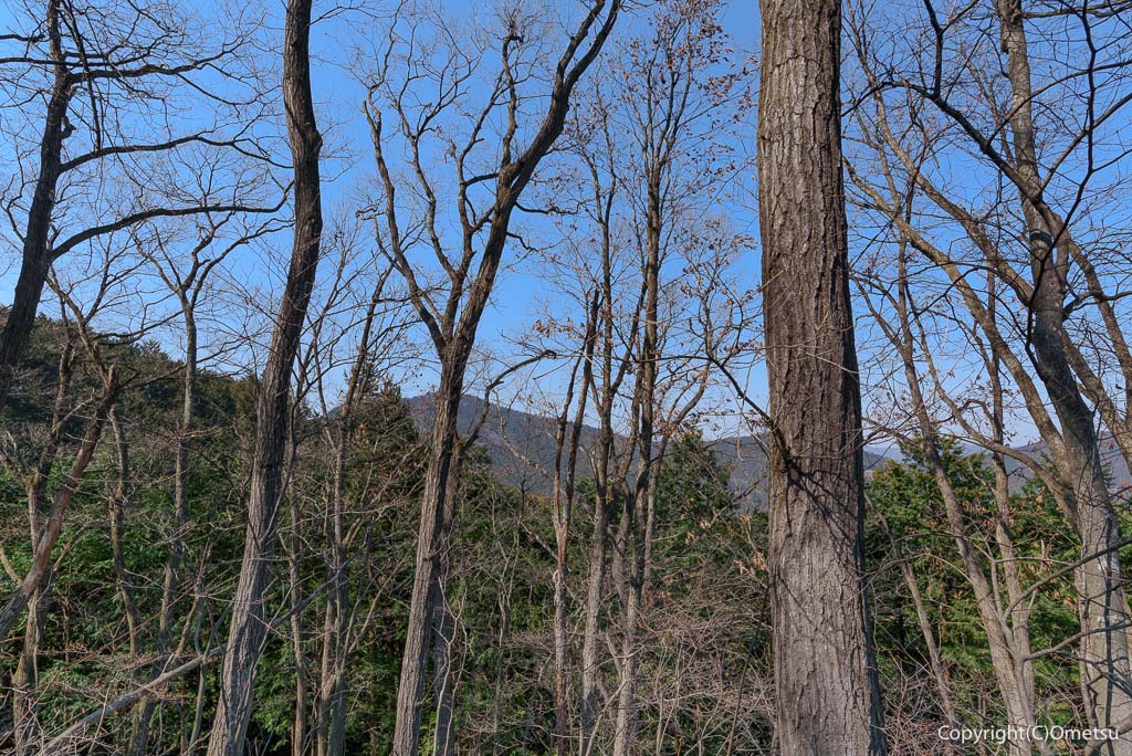 日の出山・白岩の滝・登山道からの展望