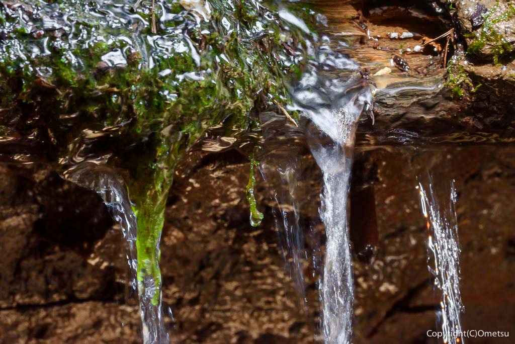 日の出山・タルクボ沢の源流