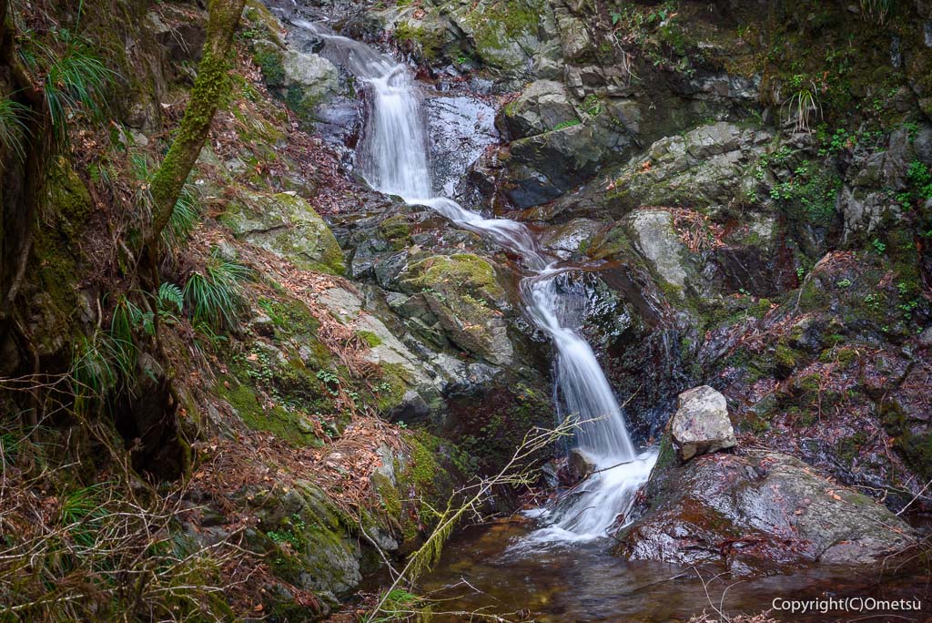 日の出山・タルクボ沢の、滝