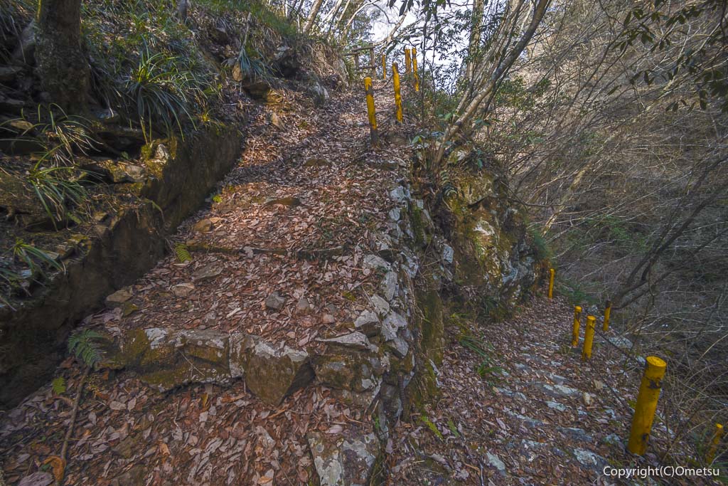 日の出山・タルクボ沢の、白岩の滝付近の登山道