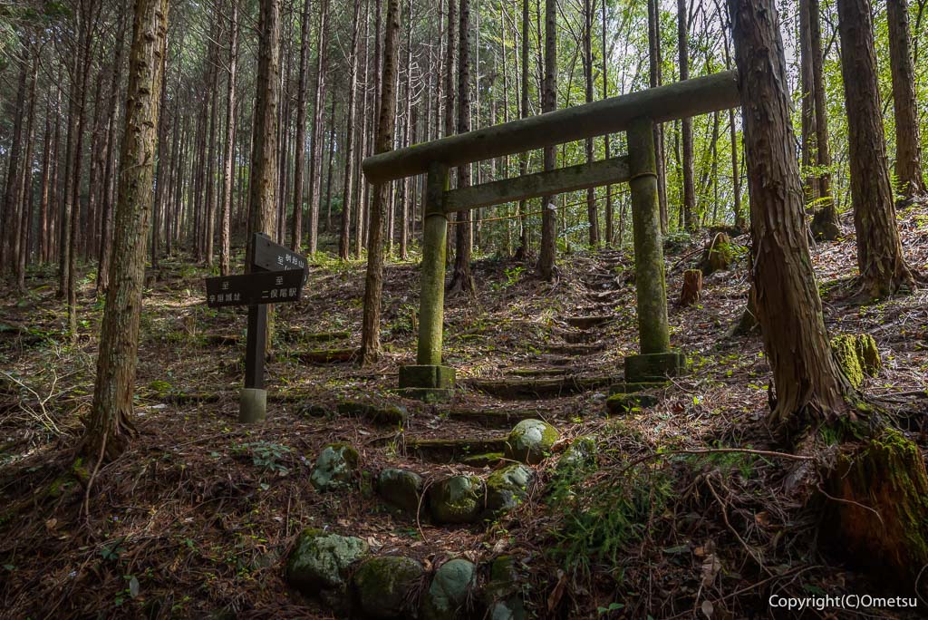 青梅丘陵・枡形山登山口