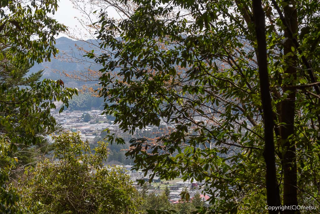 青梅丘陵・枡形山登山道から、町の展望