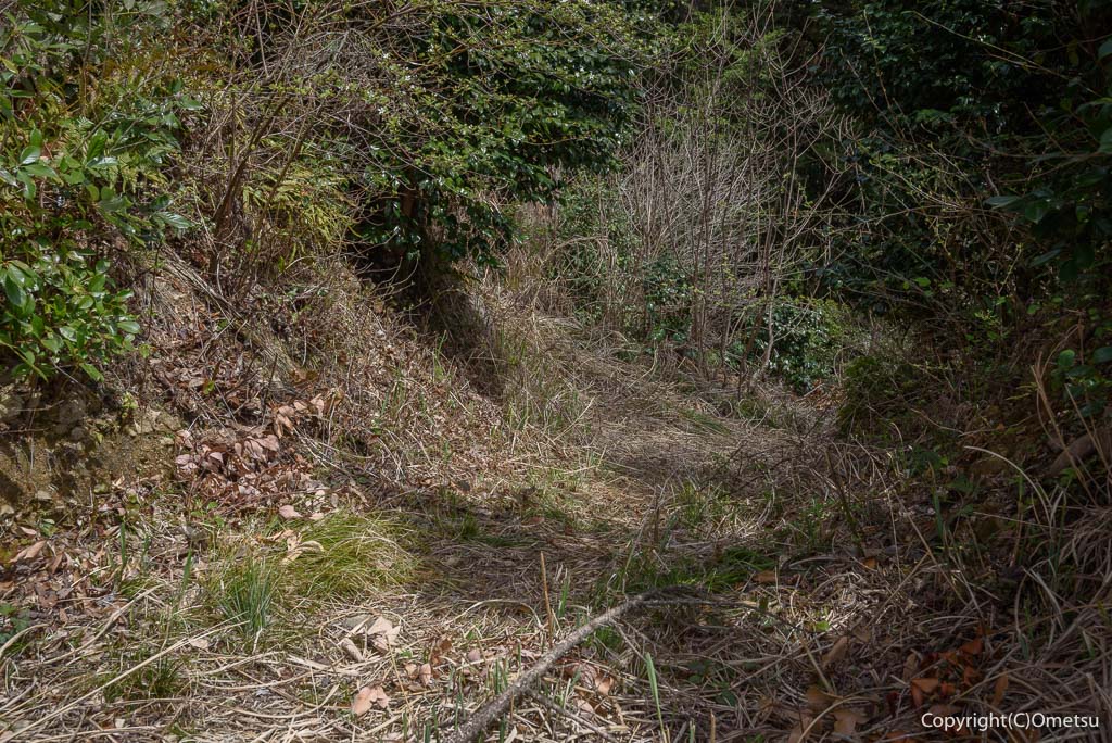 青梅丘陵・枡形城の、堀割