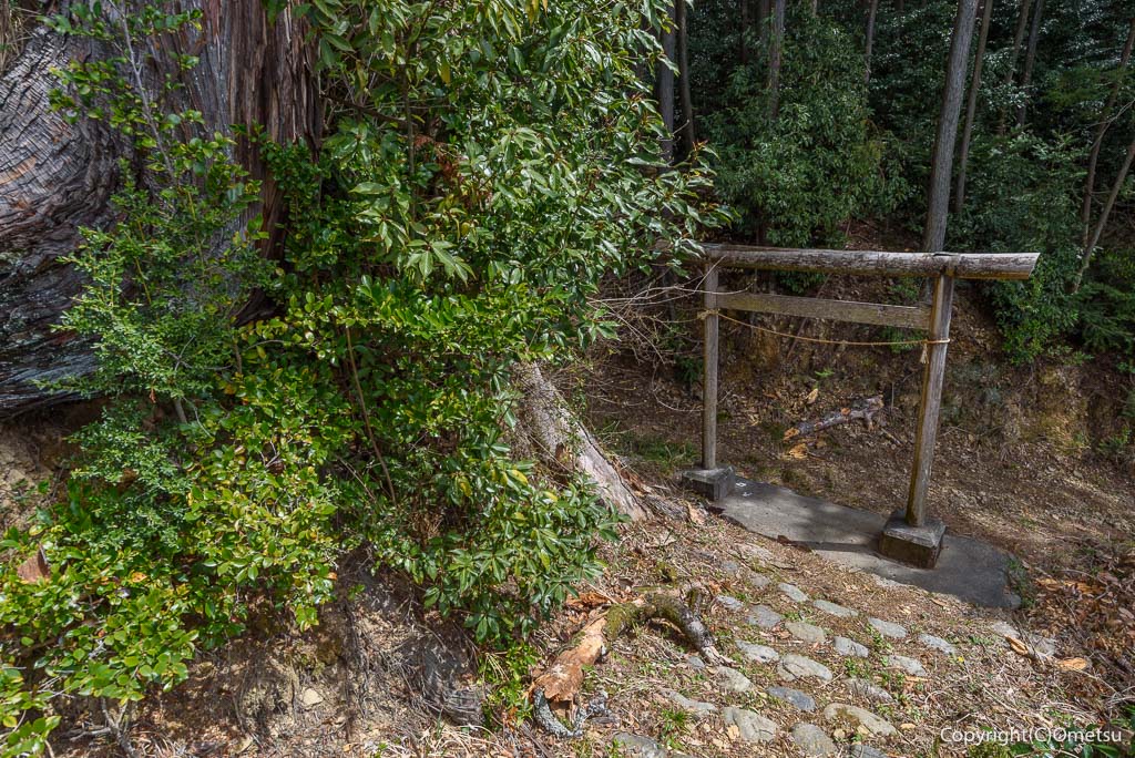 青梅丘陵・枡形山の、鳥居