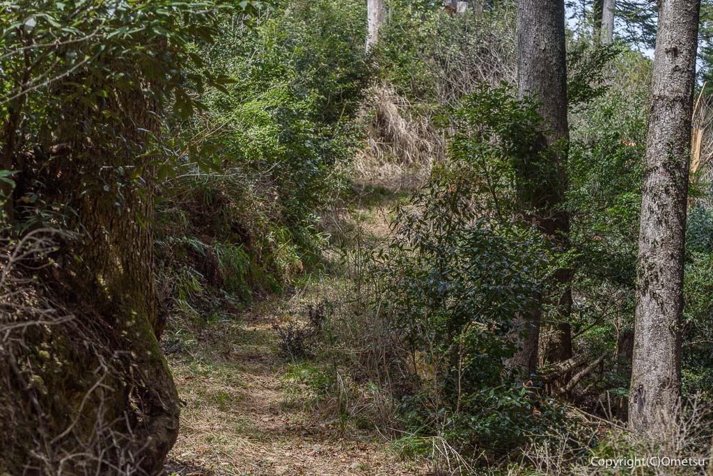 青梅丘陵・枡形城の、堀割