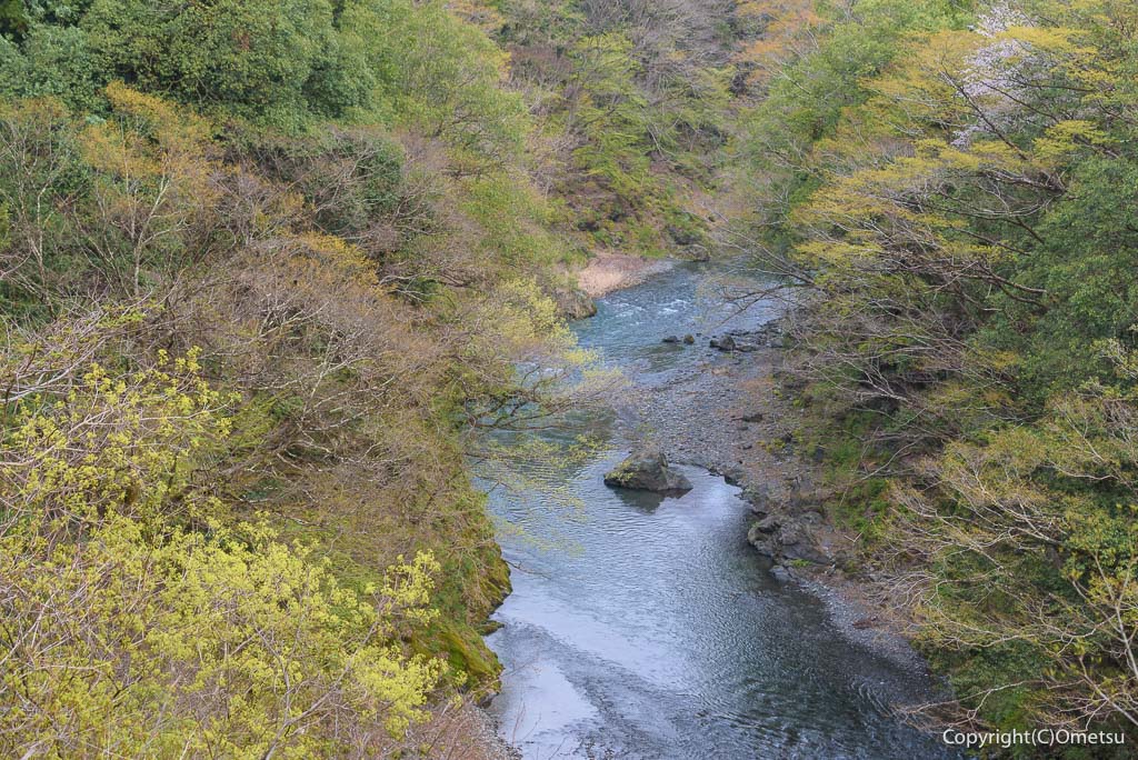 奥多摩町・多摩川の清流