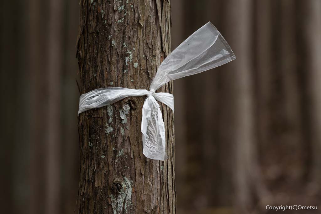 奥多摩町・天地山登山道のテープ