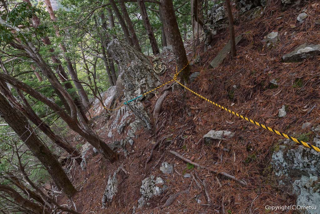 奥多摩町・天地山の、フィックスロープ