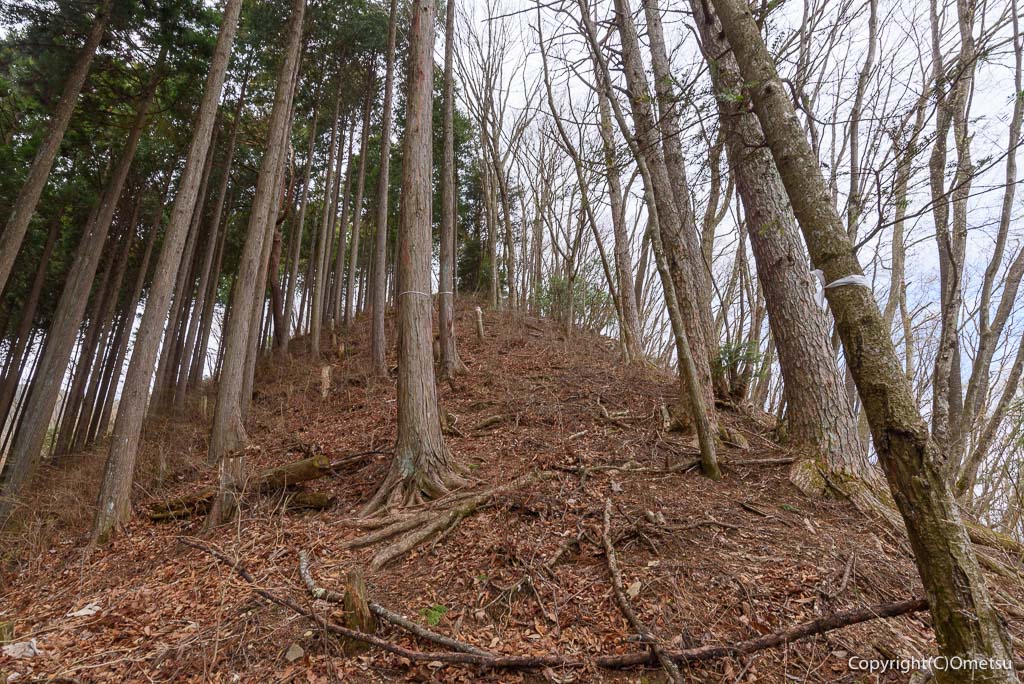奥多摩町・天地山から、鋸尾根の急登