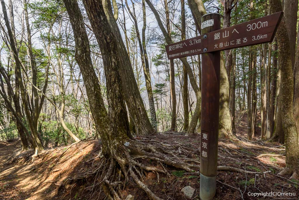 奥多摩町・天地山・鋸尾根分岐