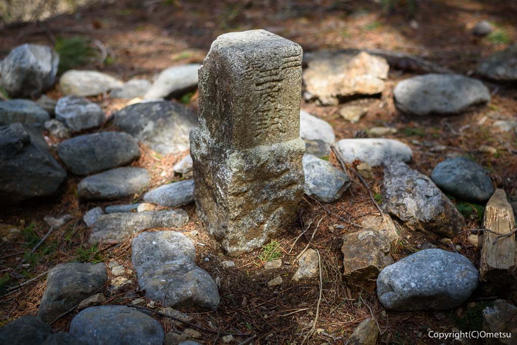 奥多摩町。鋸尾根の、三等三角点