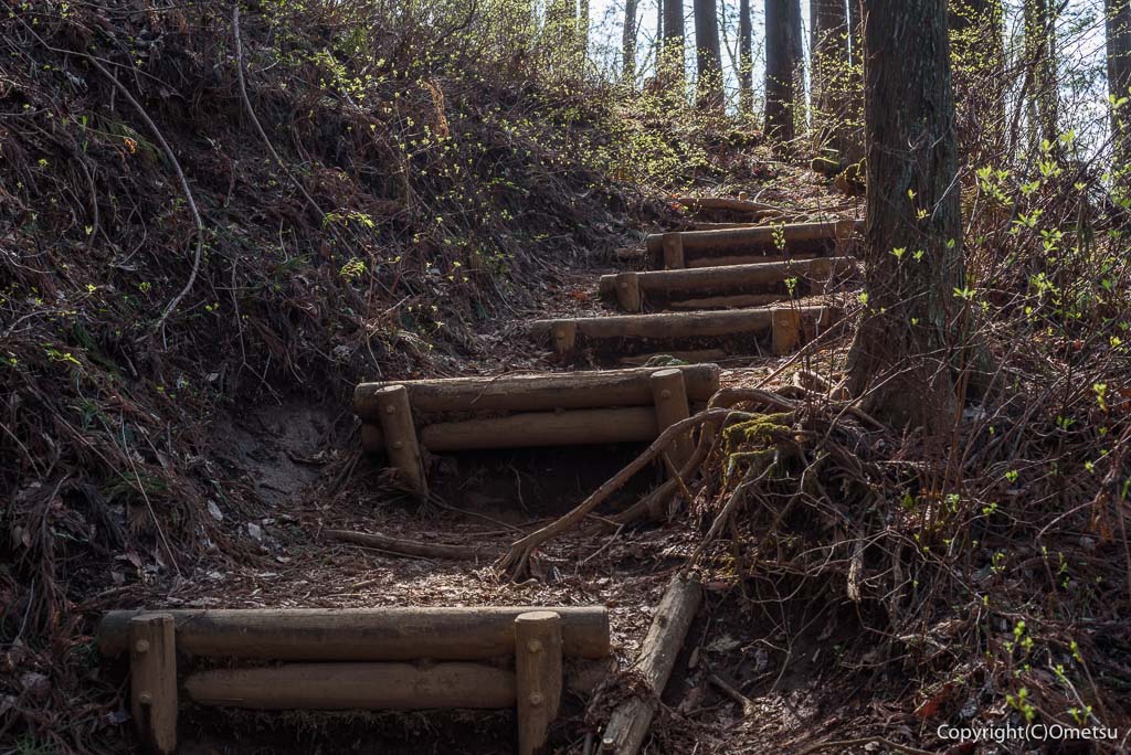 奥多摩町・鋸尾根の、急登
