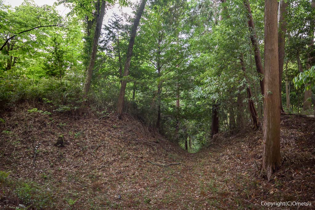 青梅・勝沼城跡の、空堀
