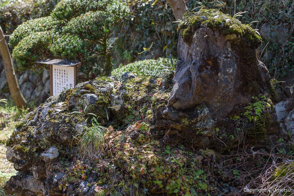 青梅市・天澤院の、牛岩