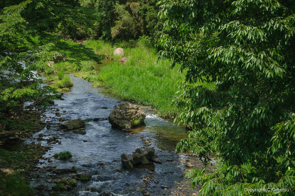 青梅市・成木川の光景