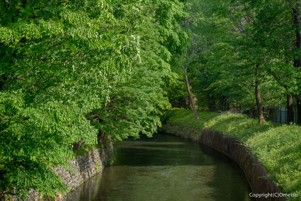 福生市・五丁橋からの玉川上水