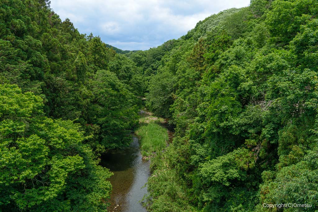 飯能市・美杉台通り・みどり橋からの成木川