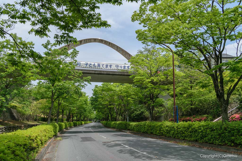 飯能市・美杉台通り・ひかり橋付近