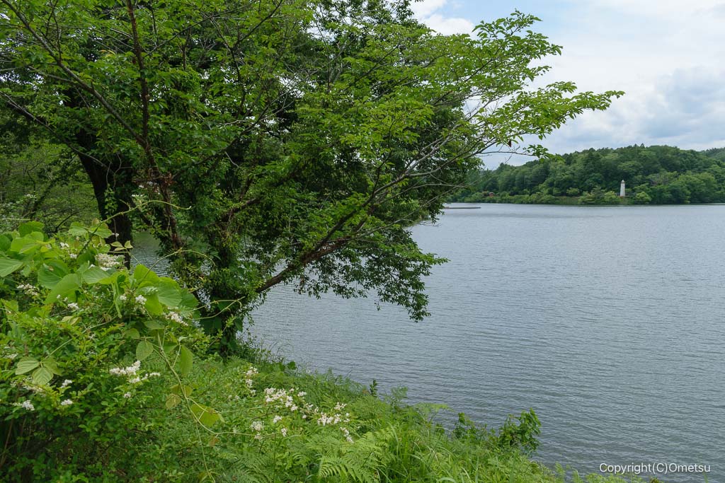 飯能市・ムーミンバレー・メッツァの宮沢湖