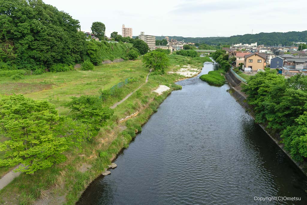 飯能市・飯能大橋からの光景