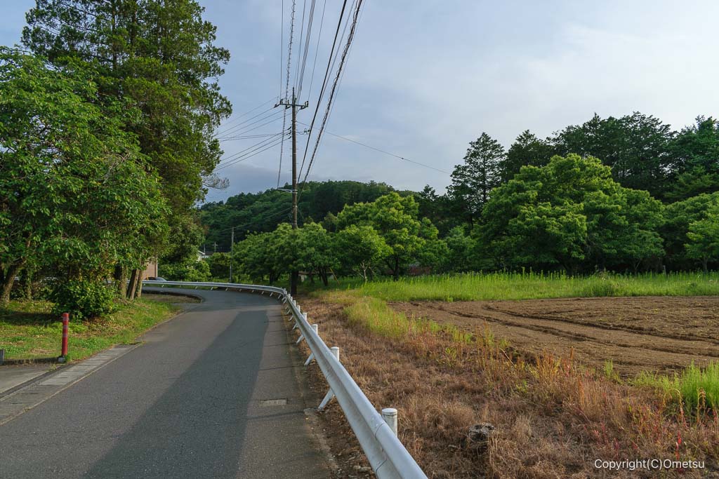 青梅市・日影林通り