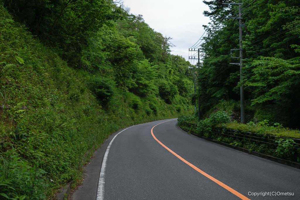青梅市・天寧寺通り
