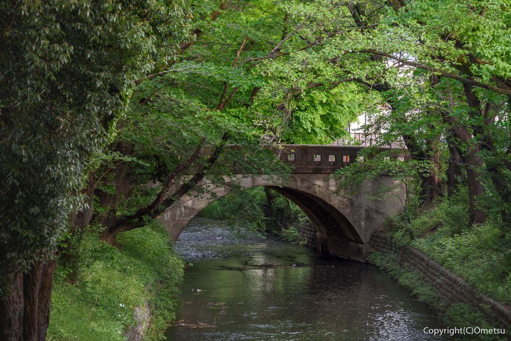 玉川上水・日光橋