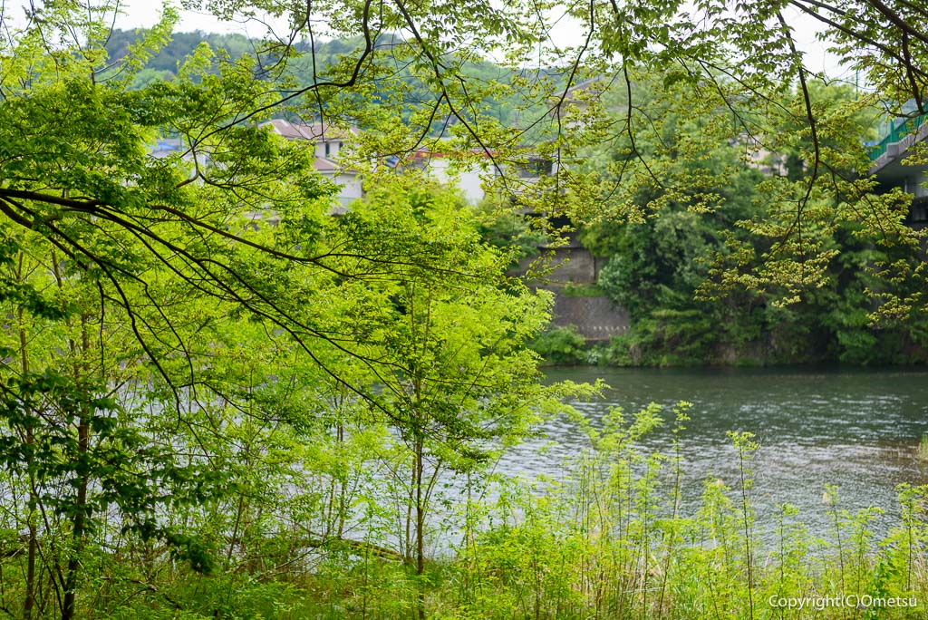羽村市・小作の渡し付近