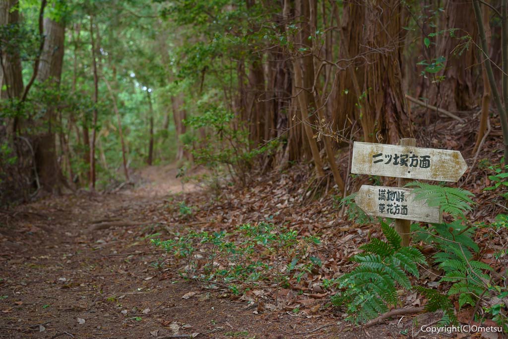 青梅市・満地峠付近の道標と道