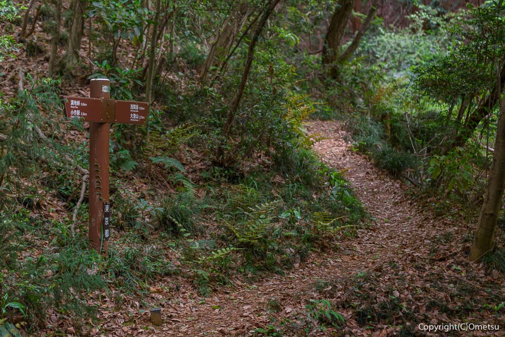 青梅市・満地峠付近の登山道