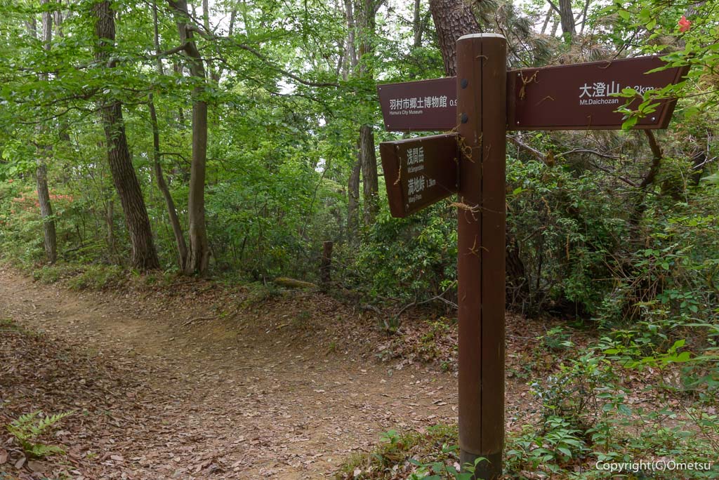 羽村市・浅間山から郷土博物館の道