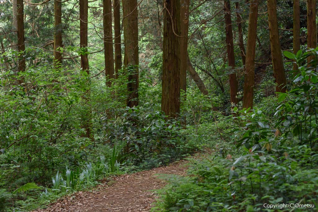 羽村市・羽村神社から郷土博物館への道