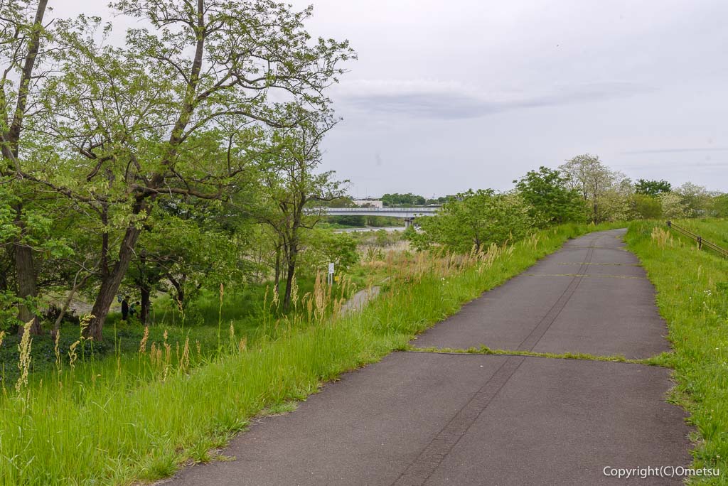 羽村市。多摩川堤防の道
